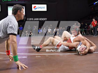 Thumbnail 1 in NIAA State Wrestling Championships photogallery.