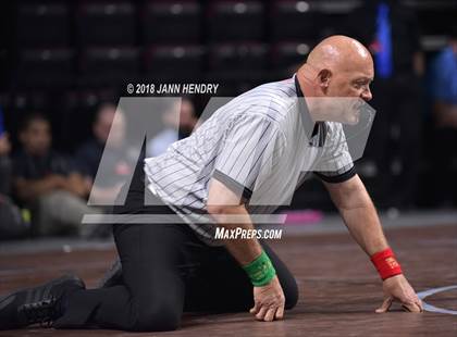 Thumbnail 2 in NIAA State Wrestling Championships photogallery.