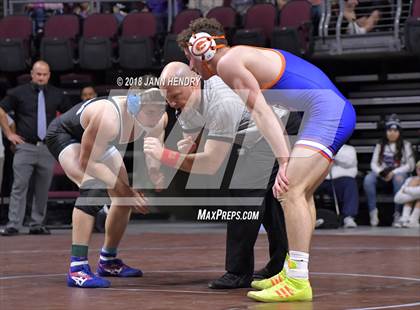 Thumbnail 1 in NIAA State Wrestling Championships photogallery.