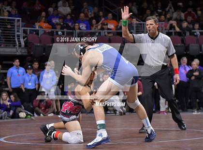 Thumbnail 3 in NIAA State Wrestling Championships photogallery.
