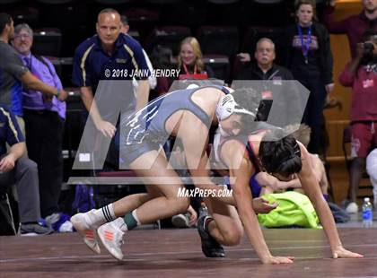 Thumbnail 1 in NIAA State Wrestling Championships photogallery.