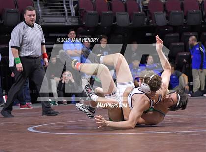 Thumbnail 1 in NIAA State Wrestling Championships photogallery.