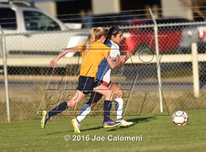 Thumbnail 3 in Lee [Robert E.] vs O'Connor (BAC) photogallery.