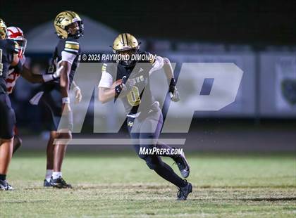 Thumbnail 2 in Tavares @ East Ridge photogallery.