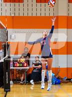 Photo from the gallery "Lovejoy vs. Allen"