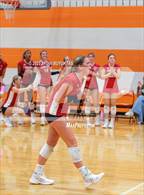Photo from the gallery "Lovejoy vs. Allen"