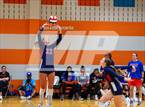 Photo from the gallery "Lovejoy vs. Allen"