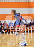 Photo from the gallery "Lovejoy vs. Allen"