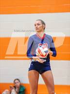 Photo from the gallery "Lovejoy vs. Allen"