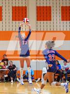 Photo from the gallery "Lovejoy vs. Allen"