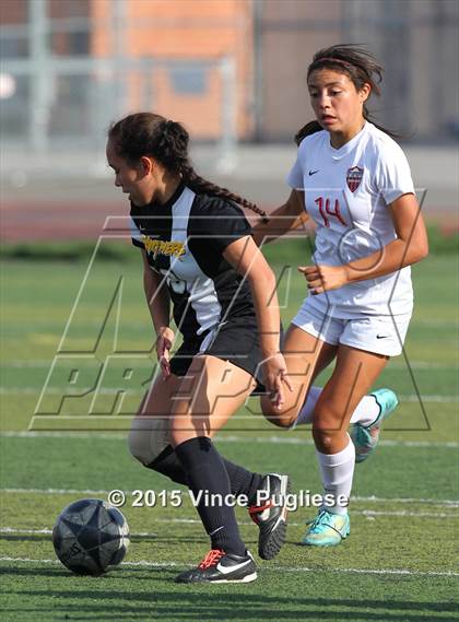 Thumbnail 3 in Newbury Park vs. Hart (CIF SS Playoffs) photogallery.