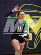 Photo from the gallery "Mountain View @ Meridian"