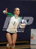 Photo from the gallery "Mountain View @ Meridian"