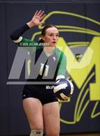 Photo from the gallery "Mountain View @ Meridian"