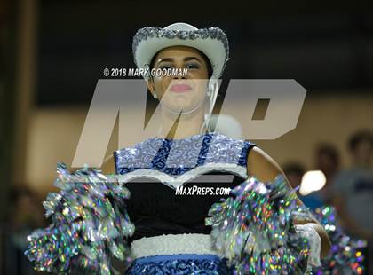 Thumbnail 2 in Northbrook @ Paetow photogallery.
