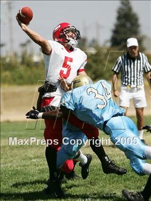 Thumbnail 1 in Chico @ Burbank photogallery.