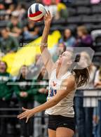 Photo from the gallery "Timpview vs. Clearfield (UHSAA 5A Second Round)"