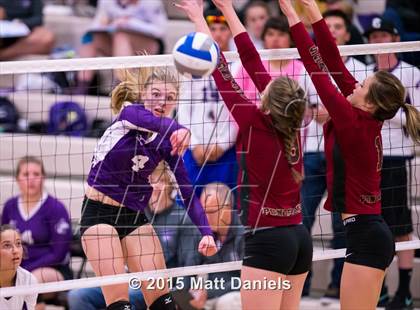 Thumbnail 2 in Douglas County @ Ponderosa photogallery.