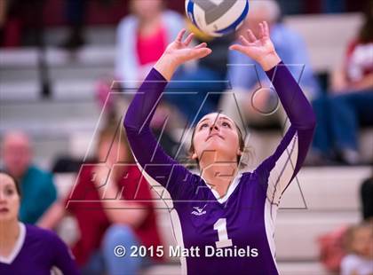 Thumbnail 2 in Douglas County @ Ponderosa photogallery.
