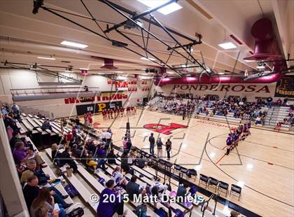 Thumbnail 1 in Douglas County @ Ponderosa photogallery.
