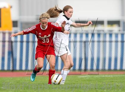 Thumbnail 3 in Penfield @ Gates Chili photogallery.
