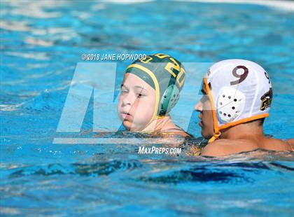 Thumbnail 3 in Gunderson @ Live Oak photogallery.