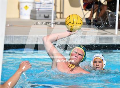 Thumbnail 1 in Gunderson @ Live Oak photogallery.