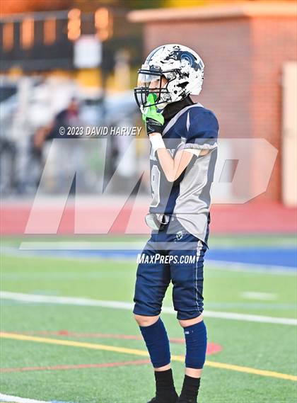 Thumbnail 3 in Denver West vs Lincoln photogallery.