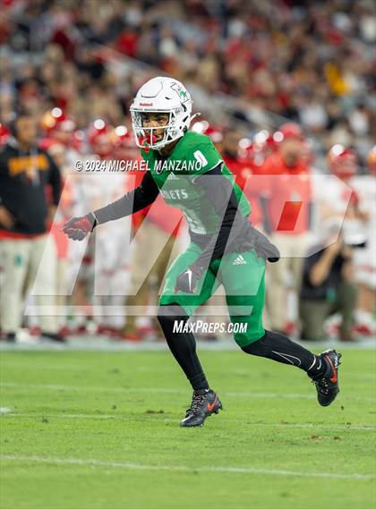 Thumbnail 3 in Lincoln vs. Cathedral Catholic (CIF SDS Open Division Final)  photogallery.