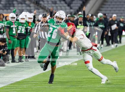 Thumbnail 1 in Lincoln vs. Cathedral Catholic (CIF SDS Open Division Final)  photogallery.