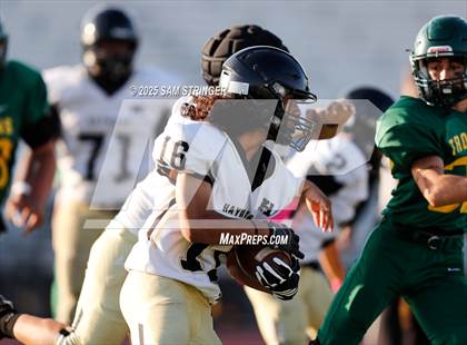 Thumbnail 2 in FR: Hayward @ Castro Valley photogallery.