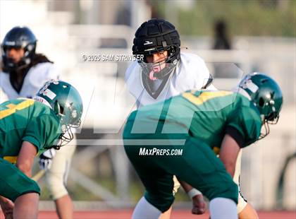 Thumbnail 1 in FR: Hayward @ Castro Valley photogallery.