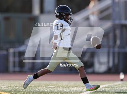 Thumbnail 2 in FR: Hayward @ Castro Valley photogallery.