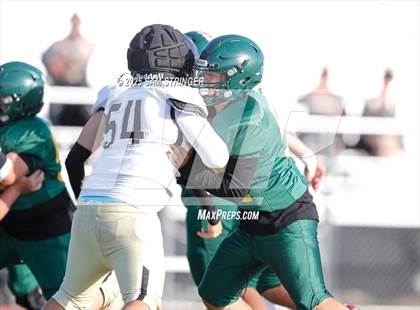 Thumbnail 2 in FR: Hayward @ Castro Valley photogallery.