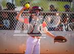 Photo from the gallery "Williams @ Superior (AIA 1A Semifinals)"