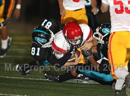 Thumbnail 3 in Chico @ Sheldon photogallery.