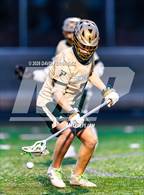Photo from the gallery "Apex @ Pinecrest"