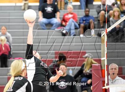 Thumbnail 3 in Wylie photogallery.