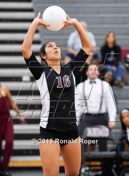 Thumbnail 2 in Wylie photogallery.