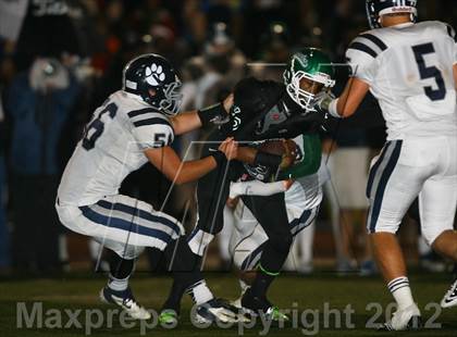 Thumbnail 3 in Marin Catholic vs. El Cerrito (CIF NCS D3 Final) photogallery.
