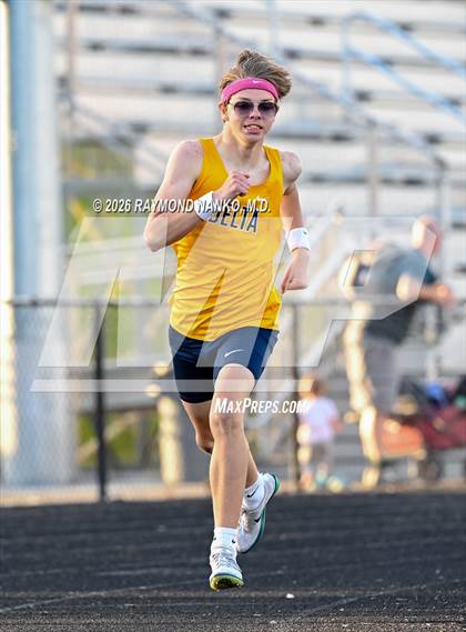 Thumbnail 1 in Muncie Central Duals (800 Meter) photogallery.