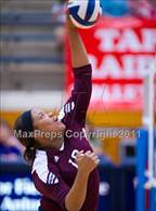 Photo from the gallery "Taft @ Marshall"
