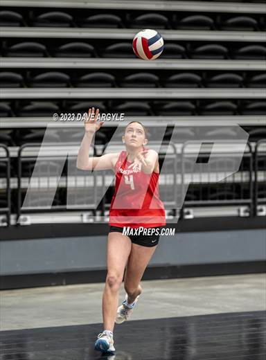 null - Photo 11