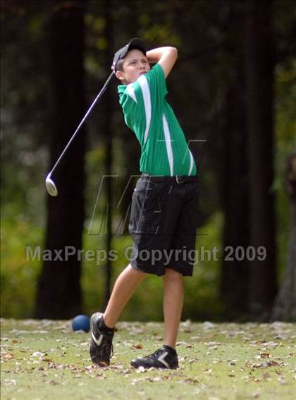 Thumbnail 1 in Benton (IHSA Class 1A Sectional)  photogallery.