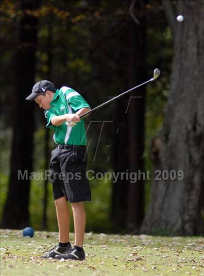 Thumbnail 2 in Benton (IHSA Class 1A Sectional)  photogallery.