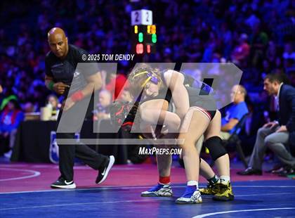 Thumbnail 1 in UIL Wrestling 5A Finals (138 lb - 235 lb) photogallery.