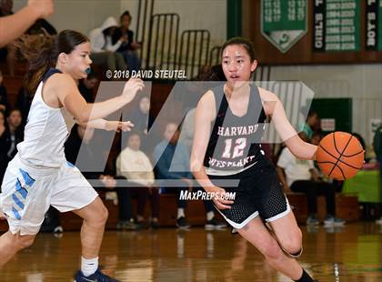 Thumbnail 3 in Harvard-Westlake vs. Centennial (St. Mary's Stockton MLK Showcase) photogallery.