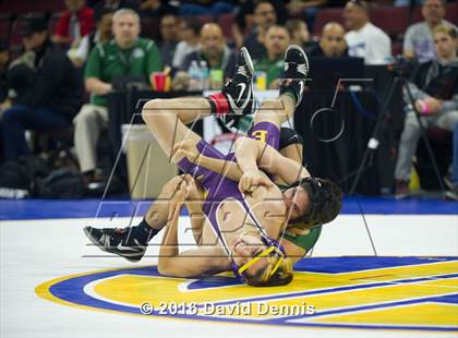Thumbnail 2 in CIF State Boys Wrestling Championships (Round 1) photogallery.