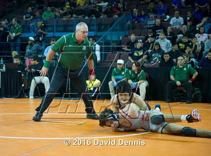 Thumbnail 2 in CIF State Boys Wrestling Championships (Round 1) photogallery.