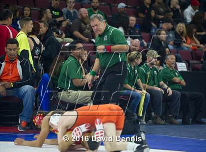 Thumbnail 2 in CIF State Boys Wrestling Championships (Round 1) photogallery.